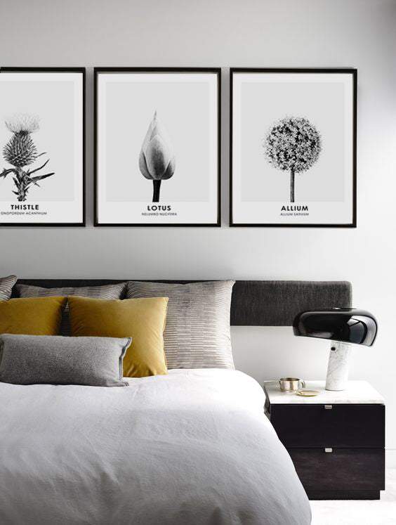 Cuadro Flor Allium BN